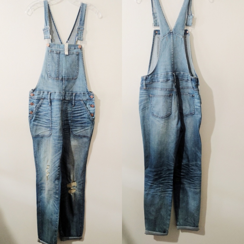 NWT Madewell skinny overalls in adrian wash